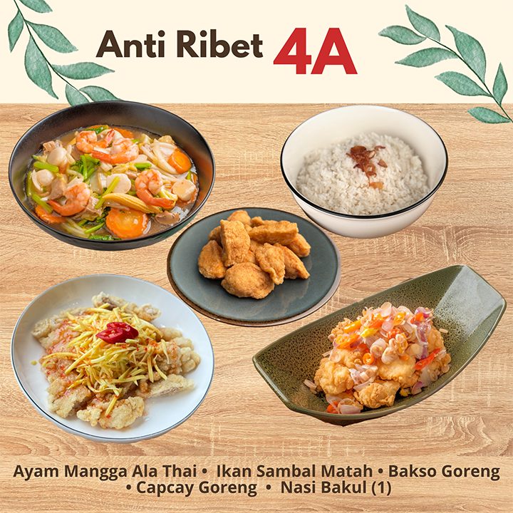 paketanti4a.jpg