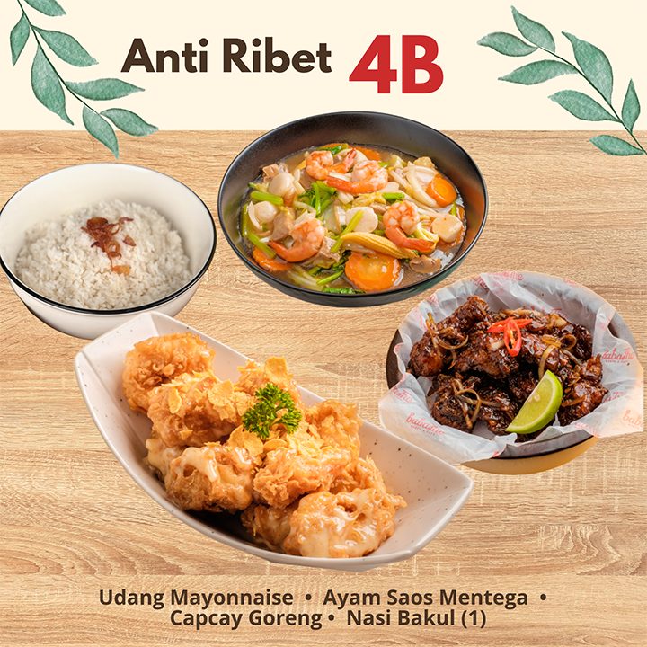 paketanti4b.jpg