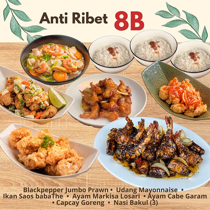 paketanti8b.jpg
